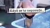 VIDEO: Nešťastné pády u vody! Na co si dát pozor? VIDEO: Nešťastné pády u vody! Na co si dát pozor?
