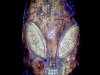 Mimozemstane_11