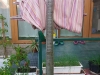 Luk_008