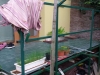 Luk_011