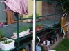 Luk_013