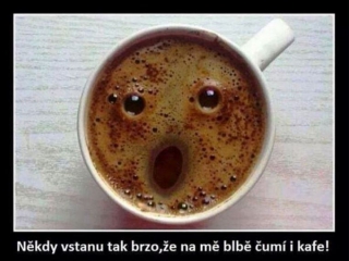 Kafe