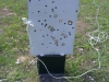 Střelnice Břeclav - Opakovací kulovnice Tactical 858 (7,62x39)