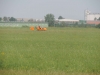 DSCN0983