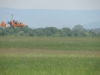 DSCN0990