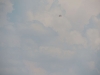 DSCN0994