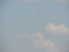 DSCN0995